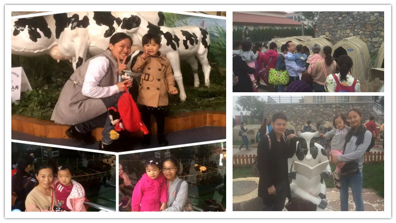 BBunion国际早教石家庄中心活动花絮：君乐宝牧场行